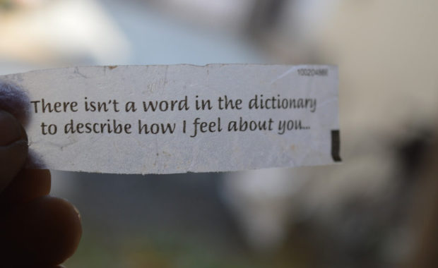 person holding small piece of paper that reads, "there isn't a word in a dictionary to describe how I feel about you."